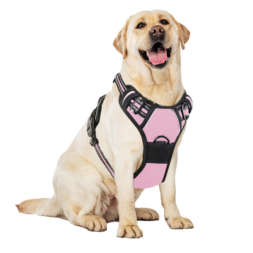 TrekGear Dog Harness, Pet Harness with 2 Leash Clips, Adjustable Soft Padded Dog Vest, Reflective No-Choke Pet Oxford Vest with Easy Control Handle(Black S or M)